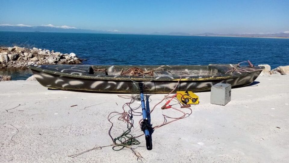 Elektroşokla kaçak balık avına rekor ceza!