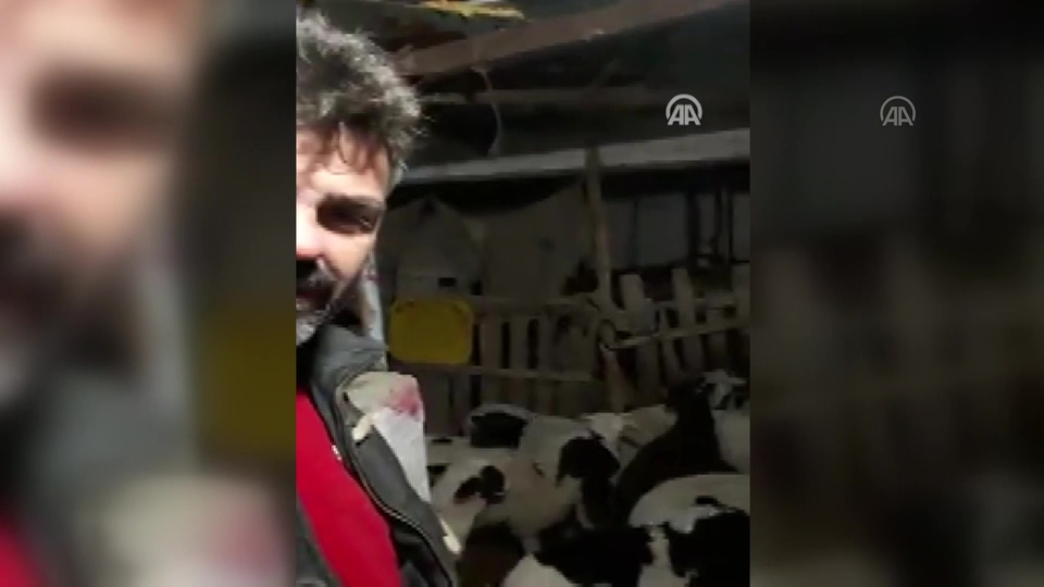 Depremden 13 saniye önce koyunlar!