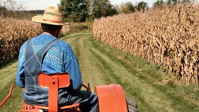Mazot Gübre Desteği ne zaman yatacak?