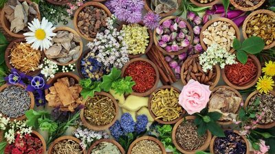 Civan perçemi maskesi nasıl yapılır?