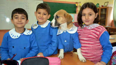 Okulun en popüleri!