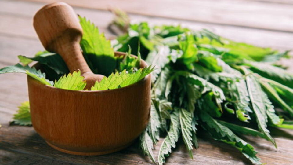 Isırgan otu maskesi tarifi