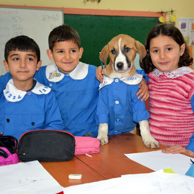 Mezarlıkta bulunmuştu... Forma bile giyiyor