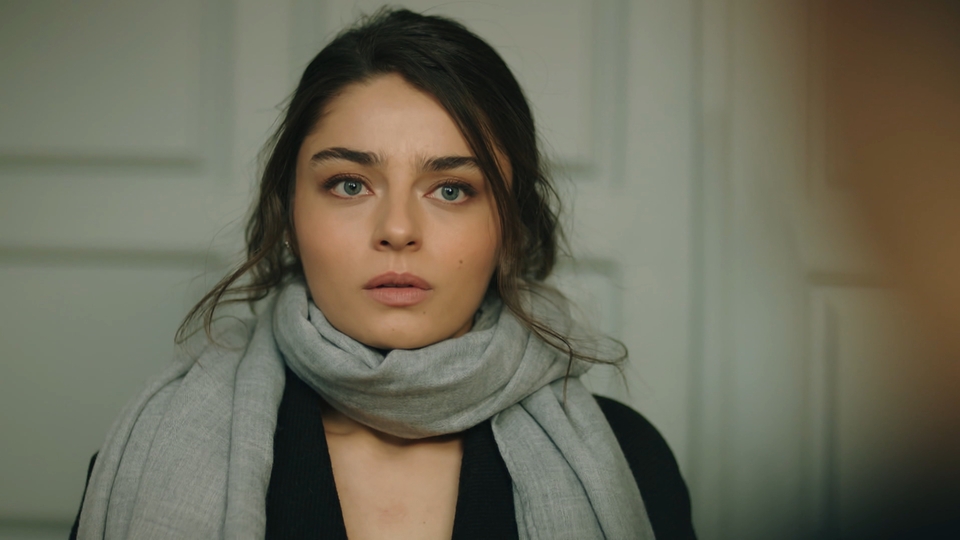 Zemheri 6. son bölüm!