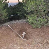 Vahşet 20 yıl sonra ortaya çıktı!