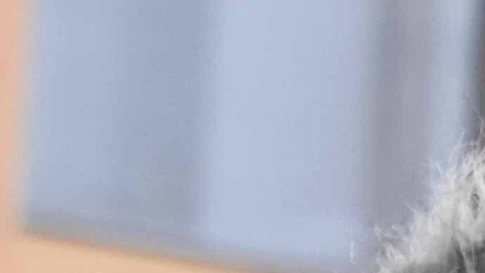 Arbedede bıçaklandığı emaresi yok!