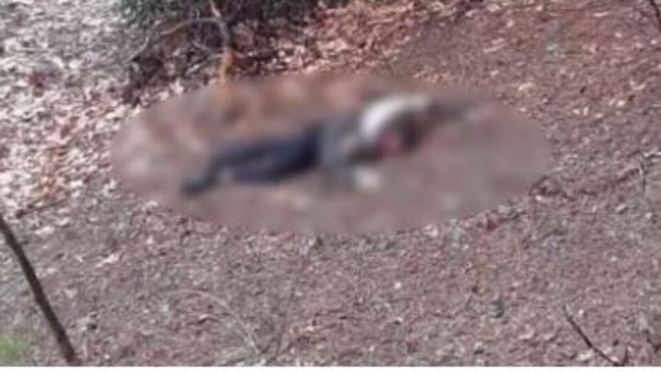 Yıl: 2020! Başını taşla ezdi! Kuma vahşeti!