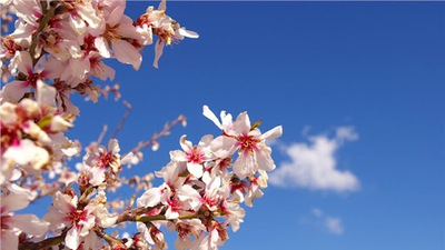 İkinci Cemre ne zaman, nereye düşecek?