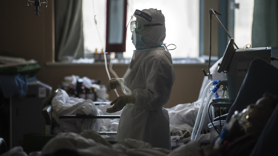 Koronavirüsün çözümü Türkiye'den olabilir!