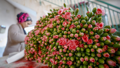 50 ülkenin kadınları için hazırlanıyor