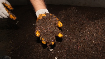 Ahırda başladı! Talebe yetişemiyor