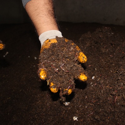 Ahırda başladı! Talebe yetişemiyor