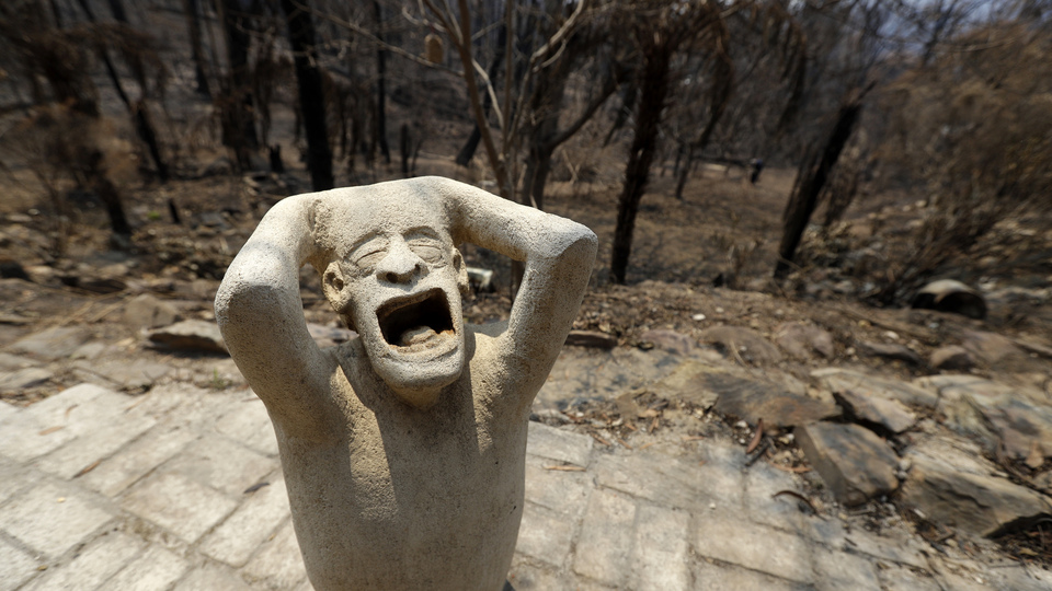 Ormanların yüzde 21'i yok oldu!