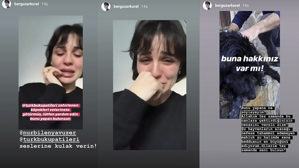 Ünlü oyuncuyu isyan ettiren vahşet!