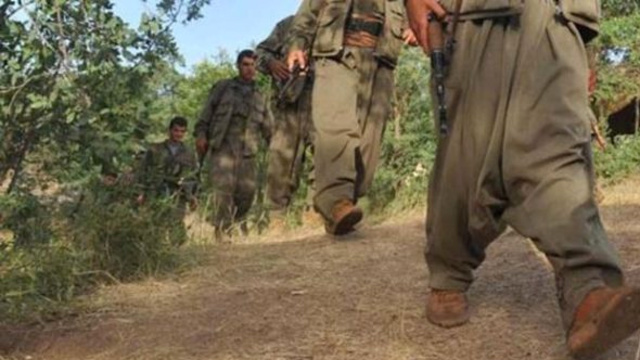 Van'da 1 terörist yakalandı