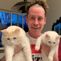 "Michael Jackson kimseyi taciz etmedi"