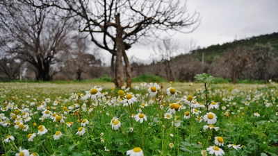 2020 Üçüncü Cemre ne zaman düşecek?