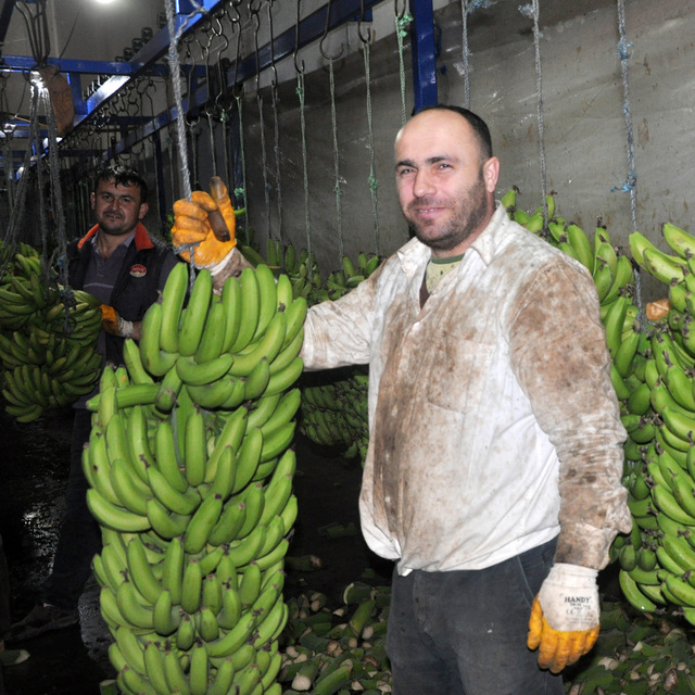'İthal muzu bitirmekteyiz'