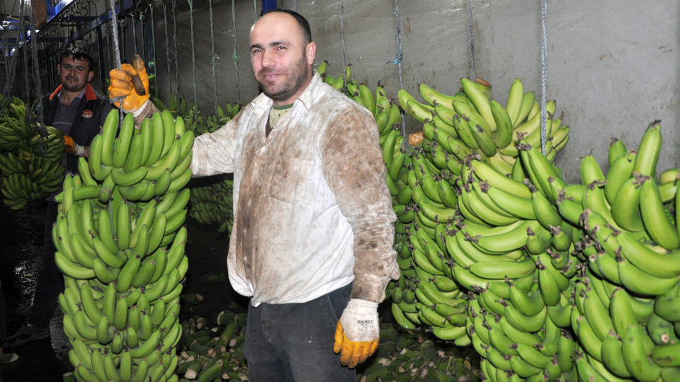 'İthal muzu bitirmekteyiz'