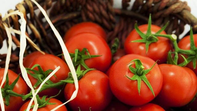 Türk domatesi Rusya vizesini kaptı