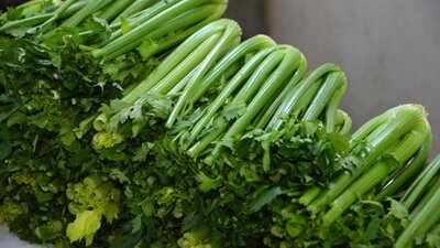 Kerevizin faydaları nelerdir?