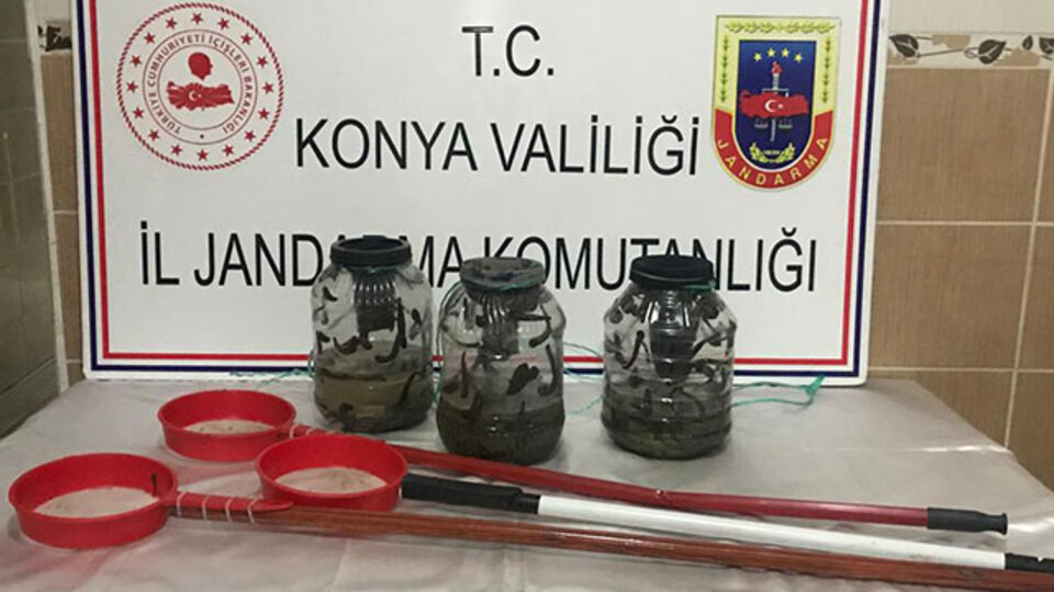 Sülük avcılarına rekor ceza