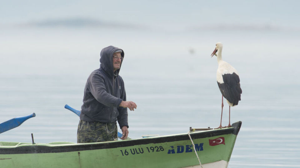 Eskikaraağaç'ın müdavimi Yaren!