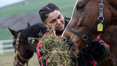 Yarış atlarına 'anne' dokunuşu