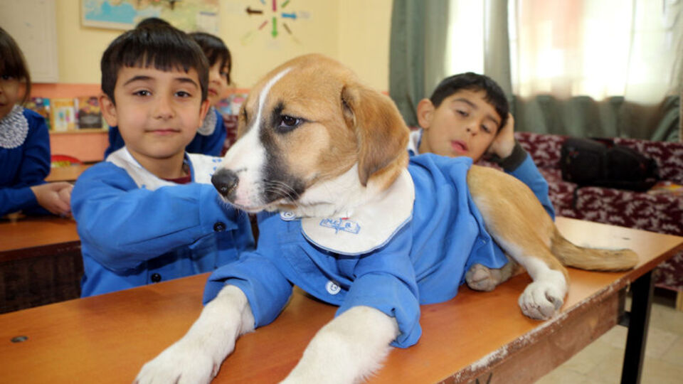 Fındık kurtarılamadı