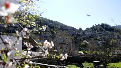 Yüzlerce bitki ve hayvan türü tespit edildi