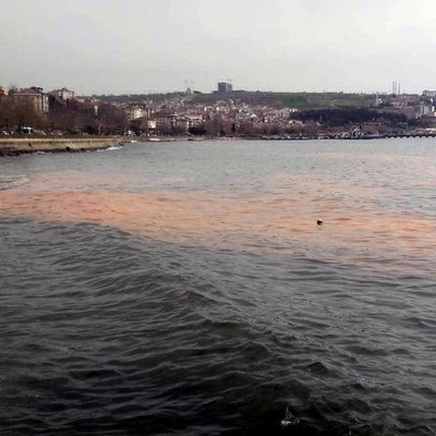 Marmara Denizi turuncuya büründü!