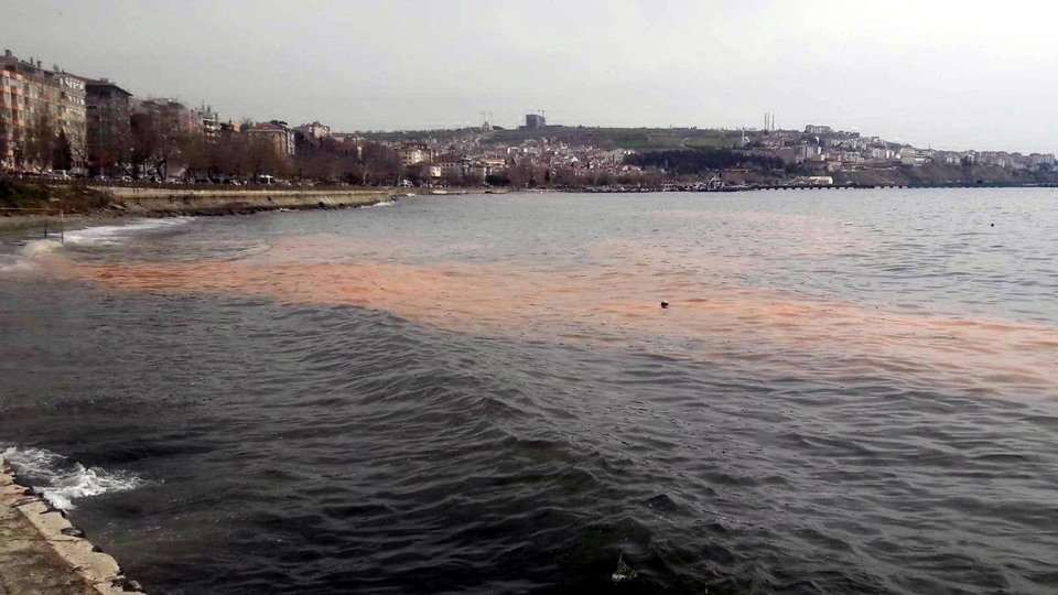 Marmara Denizi turuncuya büründü!