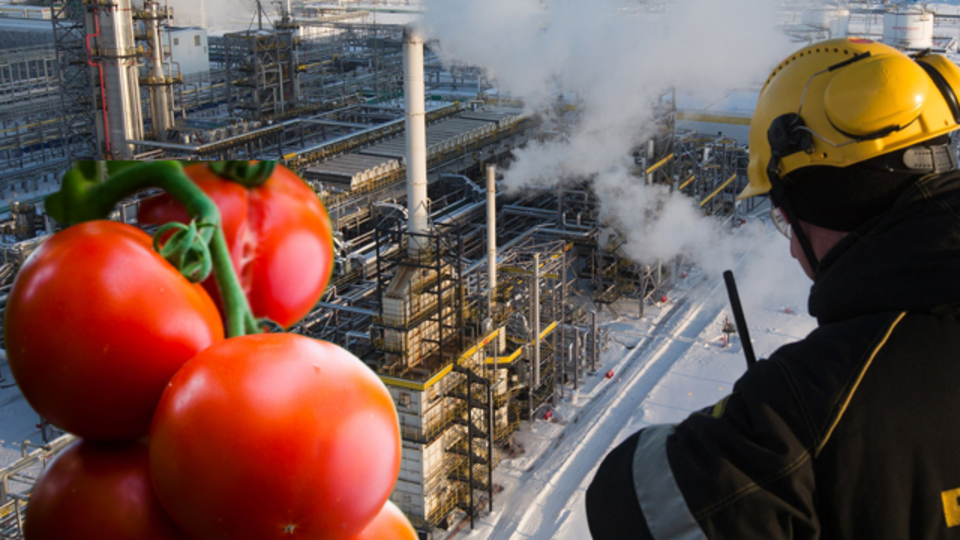 Rus ekonomisine petrol darbesi