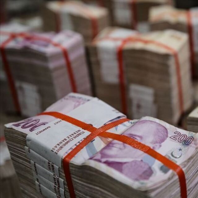Hazine 2,9 milyar lira borçlandı