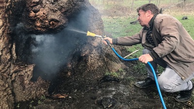 Yeşil düşmanlarından kan donduran ısrar!