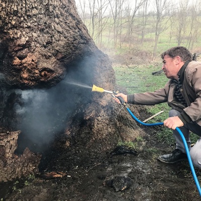 Yeşil düşmanlarından kan donduran ısrar!