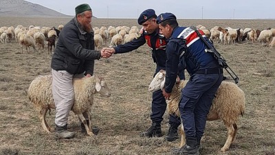 Rus vatandaşına 'koyun hırsızlığı'ndan kelepçe!