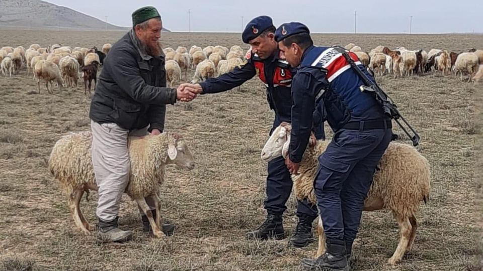 Rus vatandaşına 'koyun hırsızlığı'ndan kelepçe!