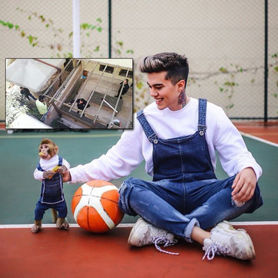 'Koko' tartışması!