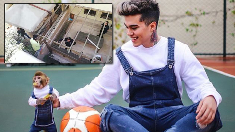 'Koko' tartışması!