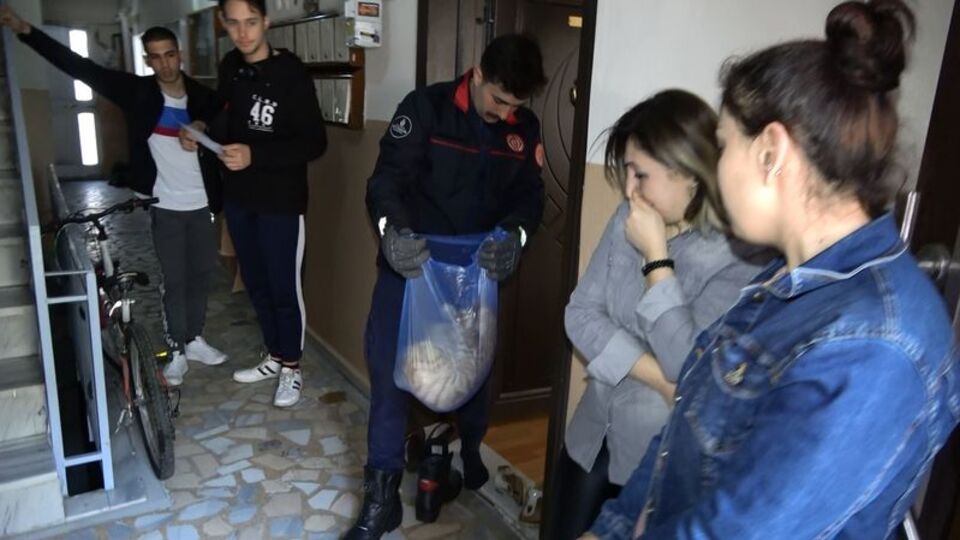 Ölen kedisine öyle bir baktı ki!