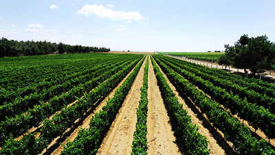 Gastronomi dünyası 3. Global GastroEkonomi Zirvesi'nde buluşuyor