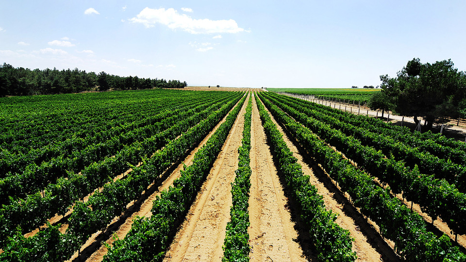 Gastronomi dünyası 3. Global GastroEkonomi Zirvesi'nde buluşuyor