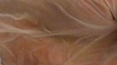 İranlı Bakan koronavirüsü yendi