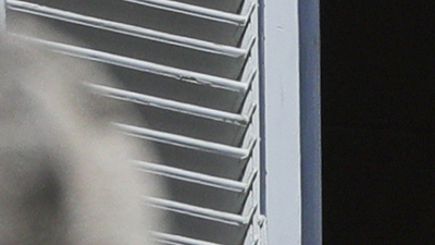 Vatikan'dan turist kısıtlaması!