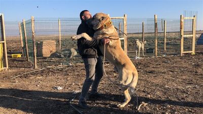 Evini gözden çıkardı! "Araba verseler satmam"