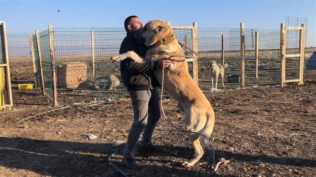 Evini gözden çıkardı! "Araba verseler satmam"