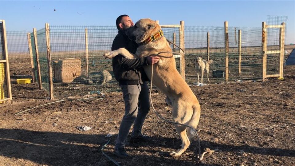 Evini gözden çıkardı! "Araba verseler satmam"