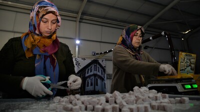 Bilecik'ten ABD'ye ihracat! Yok satıyor...