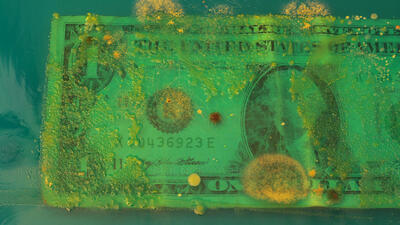 Dolar 'koronavirüse' nasıl tepki verdi?